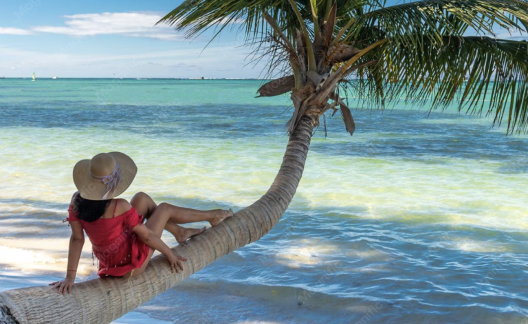 Mejores Excursiones en Punta Cana 2026: Isla Saona, Montaña Redonda y Más