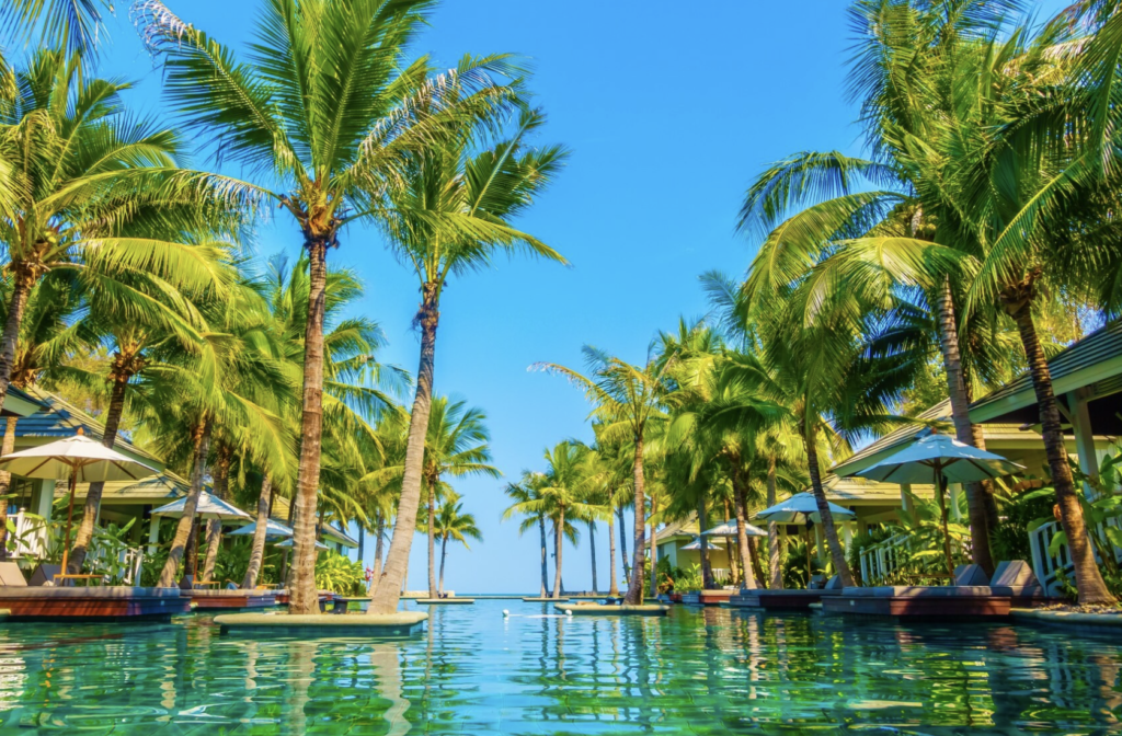 Mejores Excursiones en Punta Cana 2026: Isla Saona, Montaña Redonda y Más