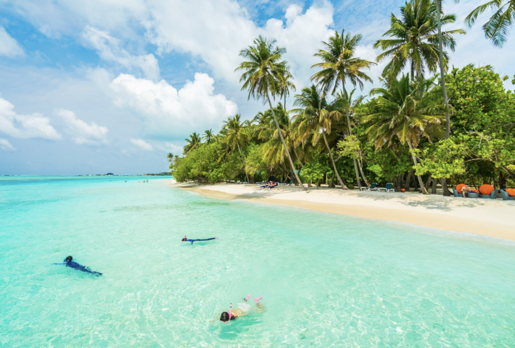 Mejores Tours en Bahamas 2026: Nassau, Exuma y Paradise Island