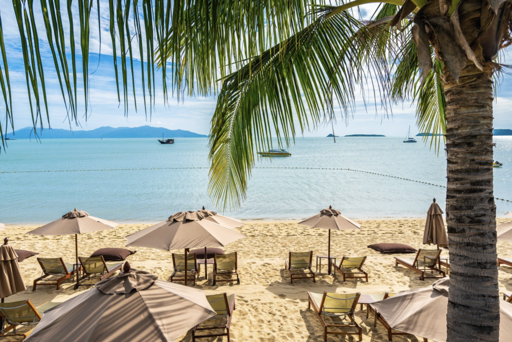 Mejores Tours en Bahamas 2026: Nassau, Exuma y Paradise Island